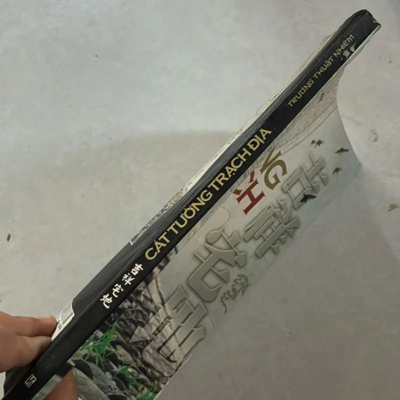 Cát tường trạch địa (có ẩm) 800954