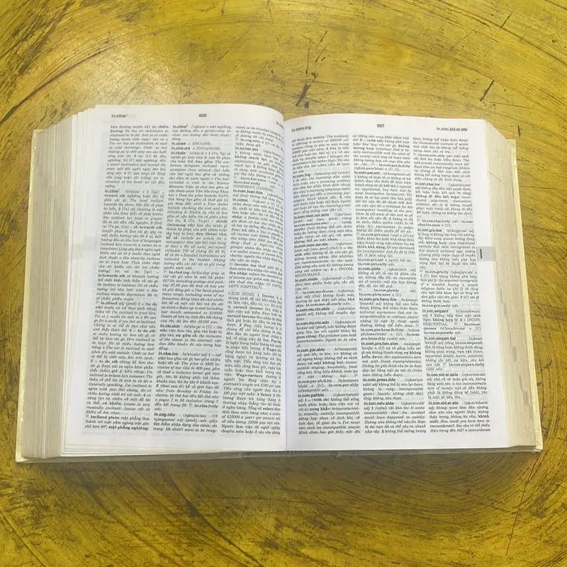 TỪ ĐIỂN ANH - VIỆT ENGLISH - VIETNAMESE DICTIONARY  699410