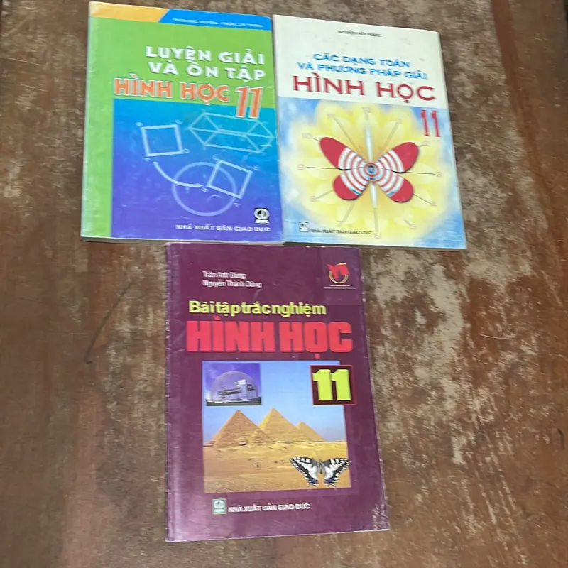 LUYỆN GIẢI VÀ ÔN TẬP HÌNH HỌC 11- CÁC DẠNG TOÁN VÀ PPG- BÀI TẬP TRẮC NGHIÊMI 733778