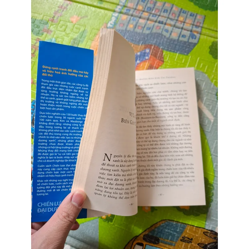 Chiến Lược Đại Dương Xanh 763112