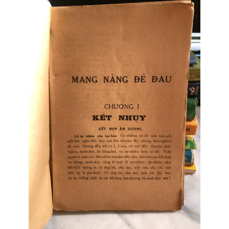 Mang nặng đẻ đau - hay là tất cả các vấn đề thai nghén- BS Trần Ngọc Ninh và Trần Việt Sơn 1001827