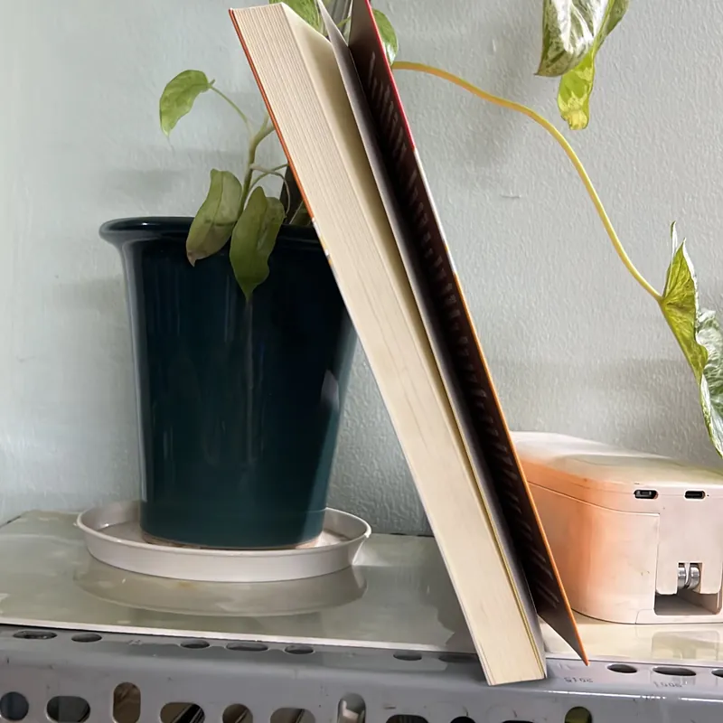 Những ngôi sao phương toả sáng - Đoàn Trọng Huy  736375