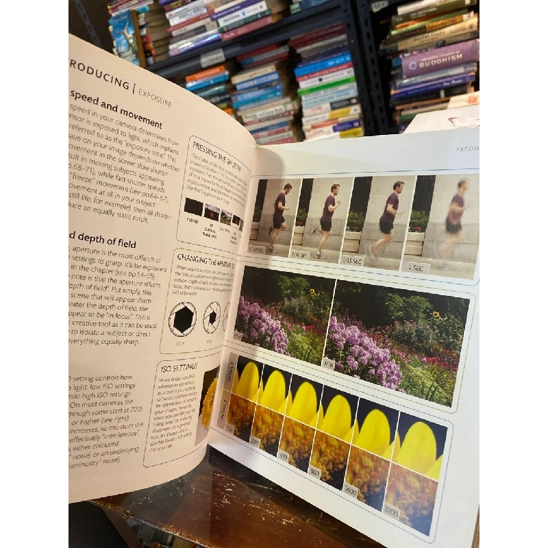 The Beginner’s Photography Guide 1017896