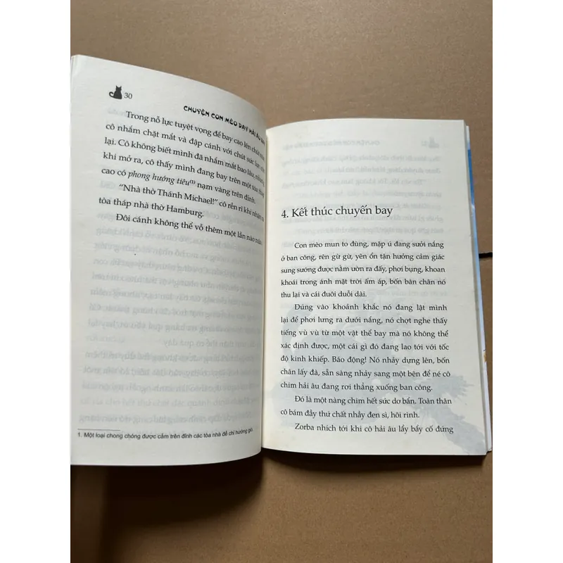 Chuyện con mèo dạy hải âu bay 704089