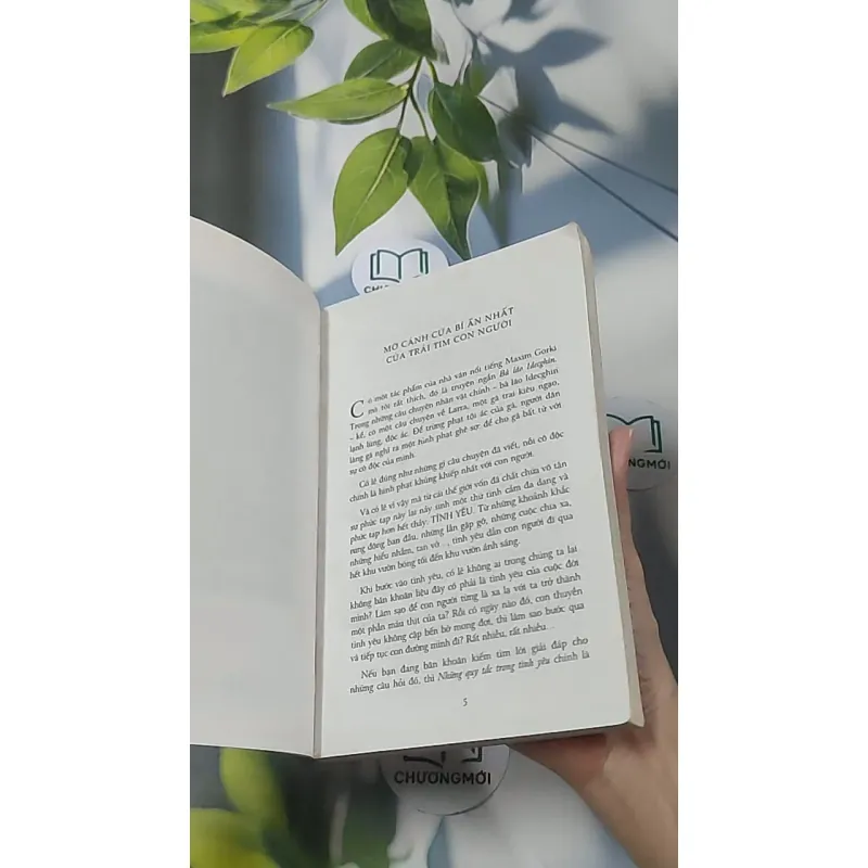 Những quy tắc trong tình yêu - Richard Templar 688562