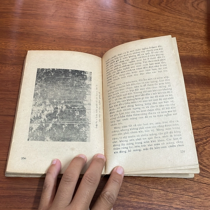 II Sách Xưa: Tìm Hiểu Thế Giới Màu Xanh - Trần Hợp, Vũ Văn Chuyên - 1977 503843