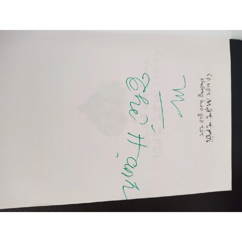 Có Một Mặt Trời Không Bao Giờ Tắt (2019) - Lê Dương Thể Hạnh Mới 90% HCM.ASB0403 448468