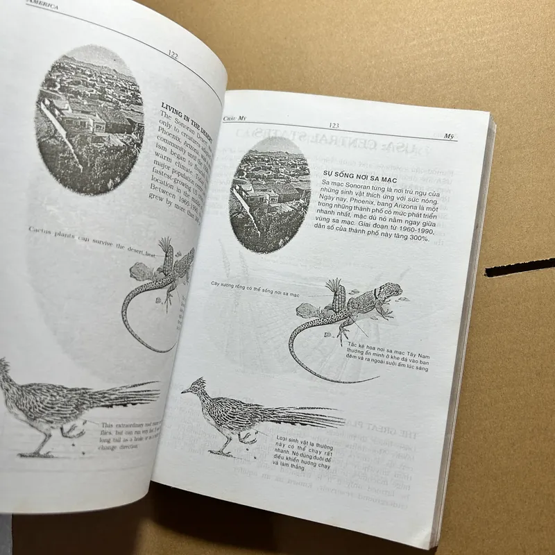 Châu Mỹ America 571668