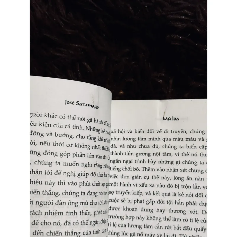 Mù loà - Joe Saramago 758043
