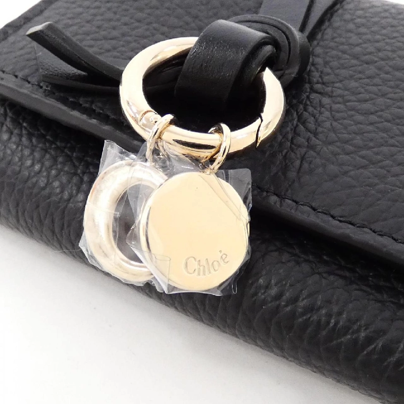 Ví Chloe ALPHABET CHC21WP946 F57 - Hàng hiệu Chính hãng 807001