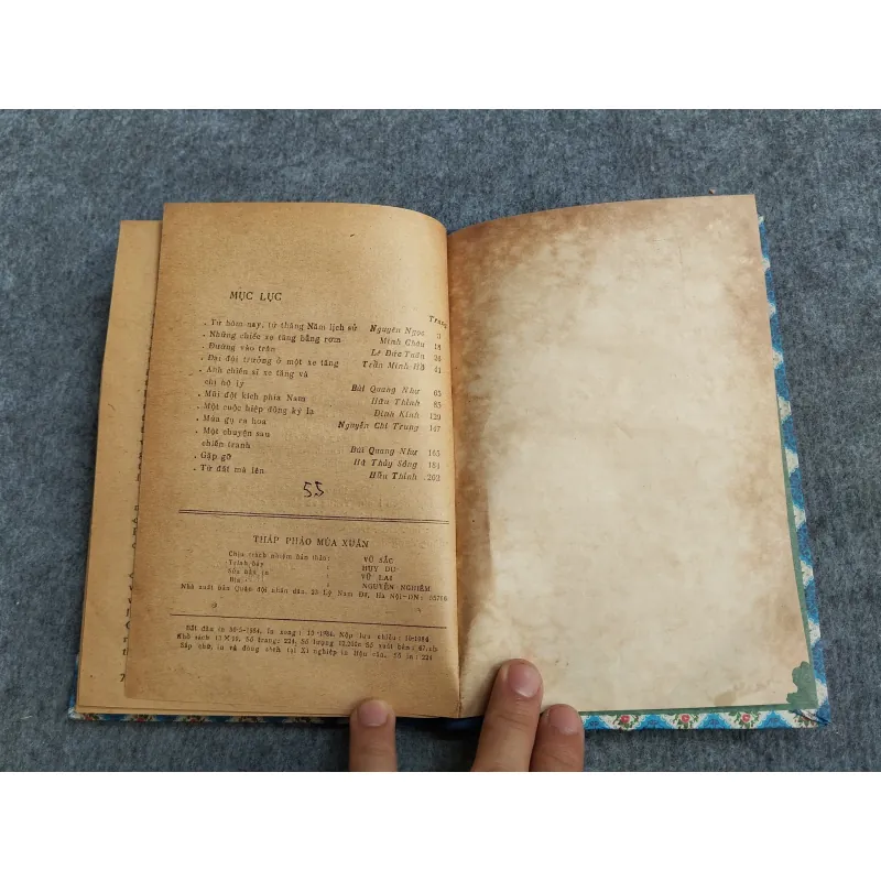 THÁP PHÁO MÙA XUÂN 606653