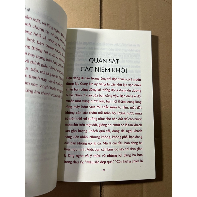 Thiền Định Mỗi Ngày - Một Cẩm Nang Nhỏ Giúp Luôn Sống Trong Tỉnh Thức 536545