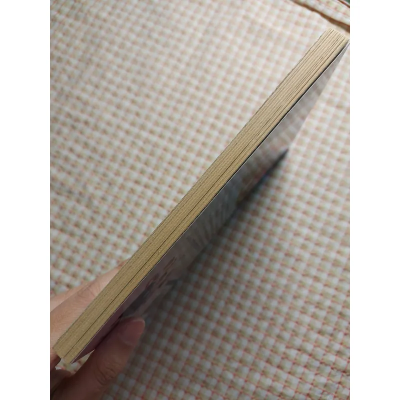 ENCANTO - THE JUNIOR NOVELIZATION - <Disney> 751830