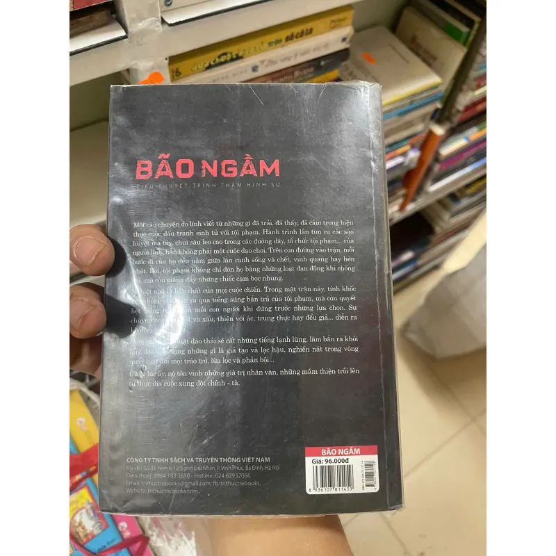 Bão Ngầm, Đào Trung Hiếu, Mới 80% (ố nhẹ) (DMChien) 733156