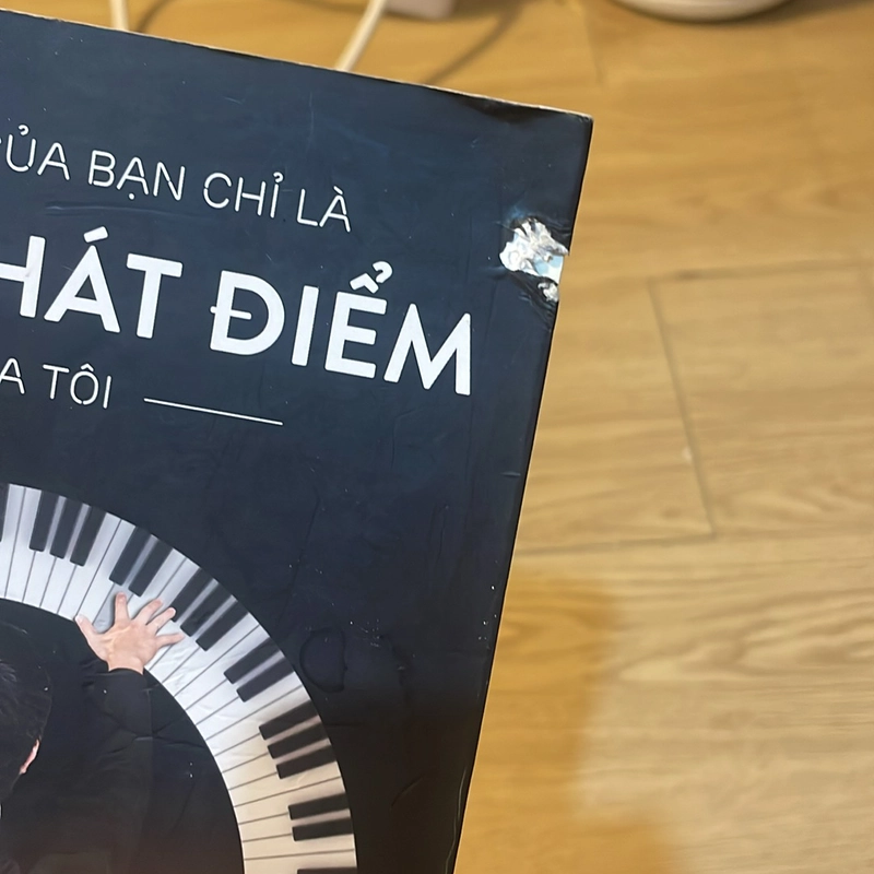 Giới hạn của bạn chỉ là xuất phát điểm của tôi - Mèo Maverick 498420