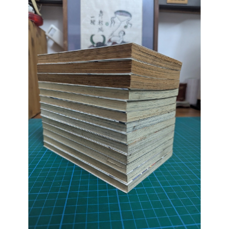 TRUYỆN TRANH RINNE CẢNH GIỚI LUÂN HỒI 386705