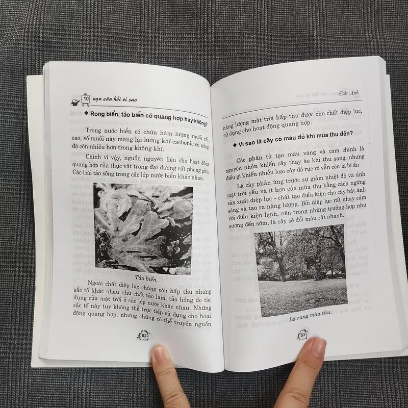 10 Vạn Câu Hỏi Vì Sao (Tập 2)- Đức Anh (sưu tầm) - NXB Văn Hoá-Thông Tin 686741