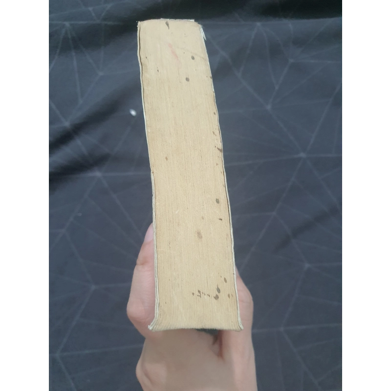 "Tuyệt sắc khuynh thành" - Phi Yên 470819