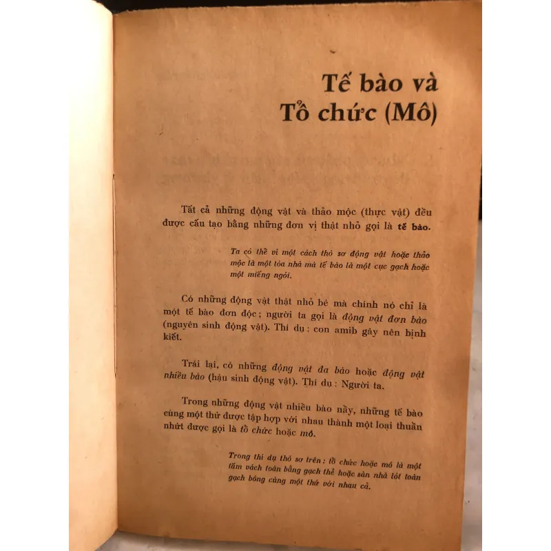 Ấp xe phổi - BS Lương Phán và BS Nguyễn Thị Lợi  1001822