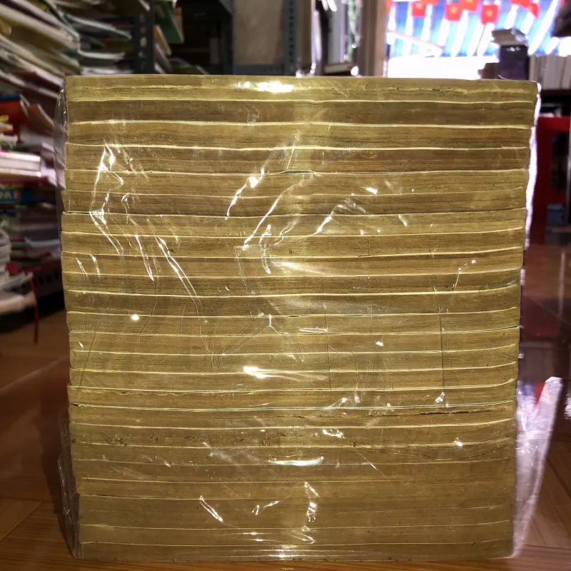 Thanh kiếm biến hình - Mashima Hiro 781921