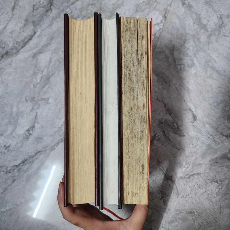 Full bộ 3 Quyển_Kiếp người - Hữu Ước 552417