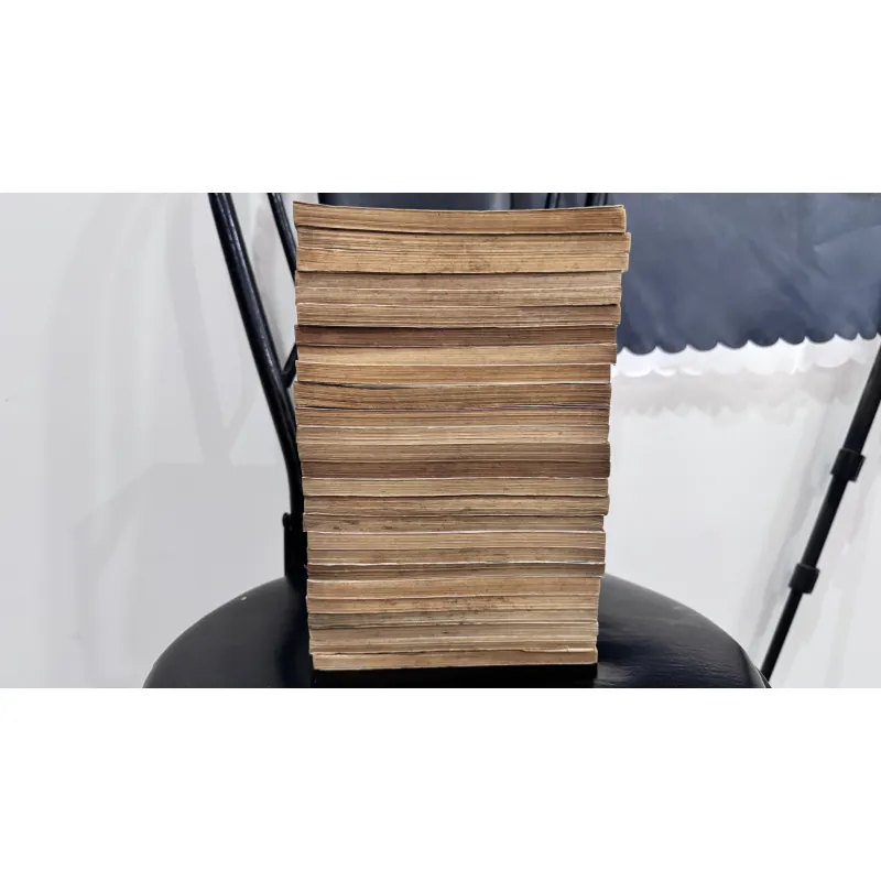 Những chuyện kỳ bí của Stine 785707