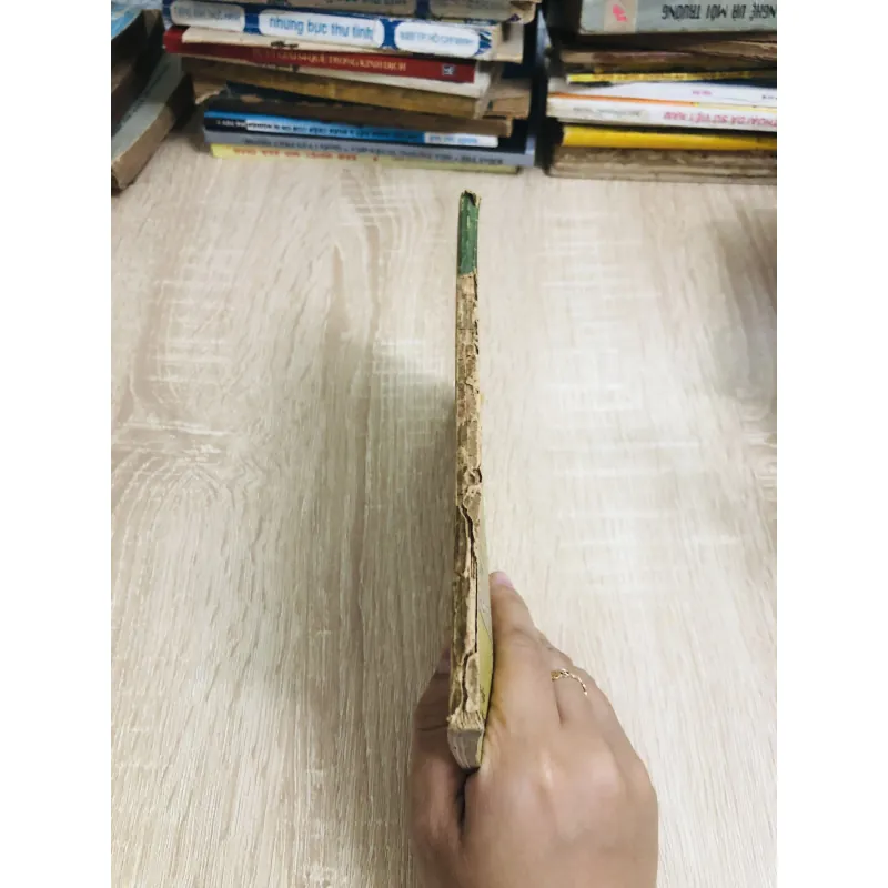 CUỘC PHỤC HƯNG TẠI TRUNG HOA  928931