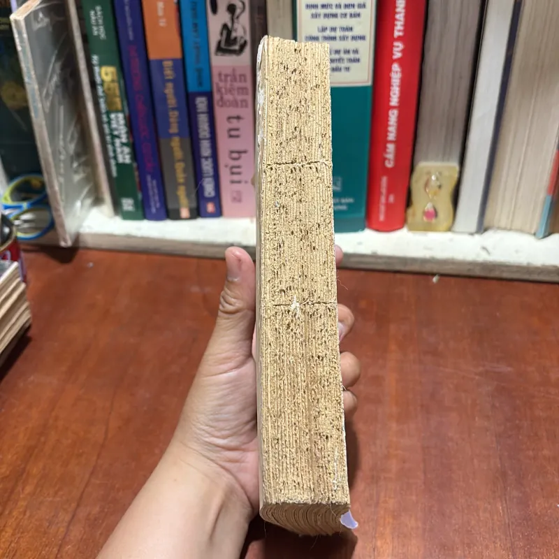 [Sách 8x, Mất Gáy] - II Tiểu Thuyết: Đường Thời Đại (Quyển 1) - Đặng Đình Loan - 1986 797568