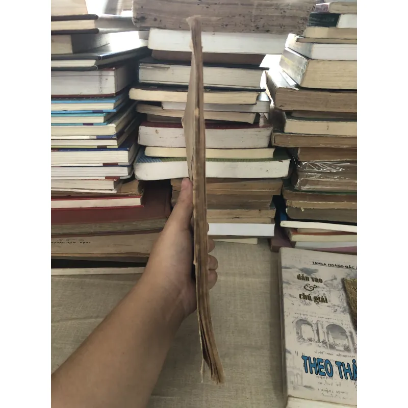 Liên Hoa Nguyệt San 995121