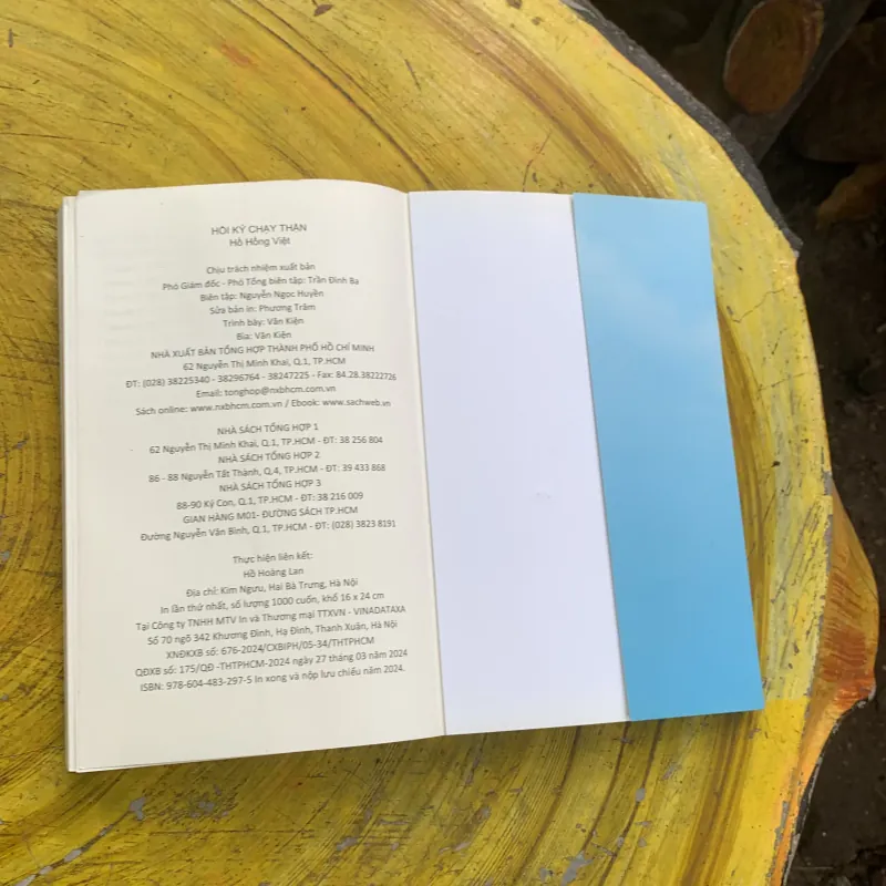 HỒI KÝ CHẠY THẬN - HỒ HỒNG VIỆT 753389