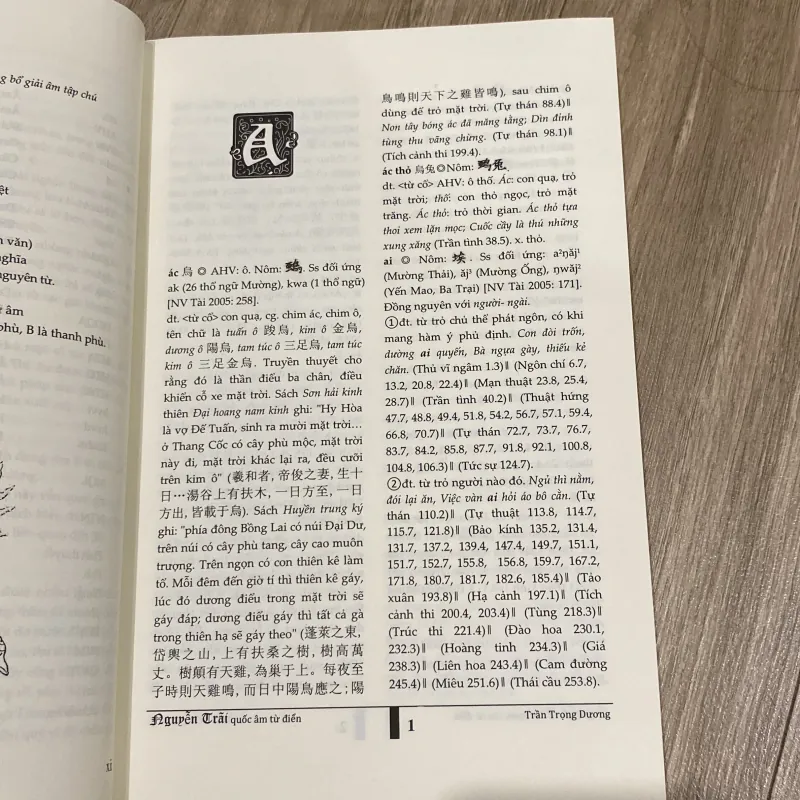 NGUYỄN TRÃI - QUỐC ÂM TỪ ĐIỂN 1025453