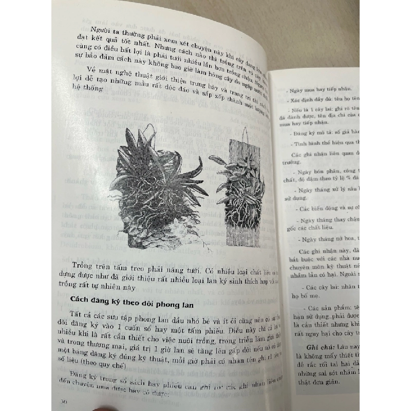Kỹ thuật nuôi trồng phong lan - Trần Văn Bảo 994441