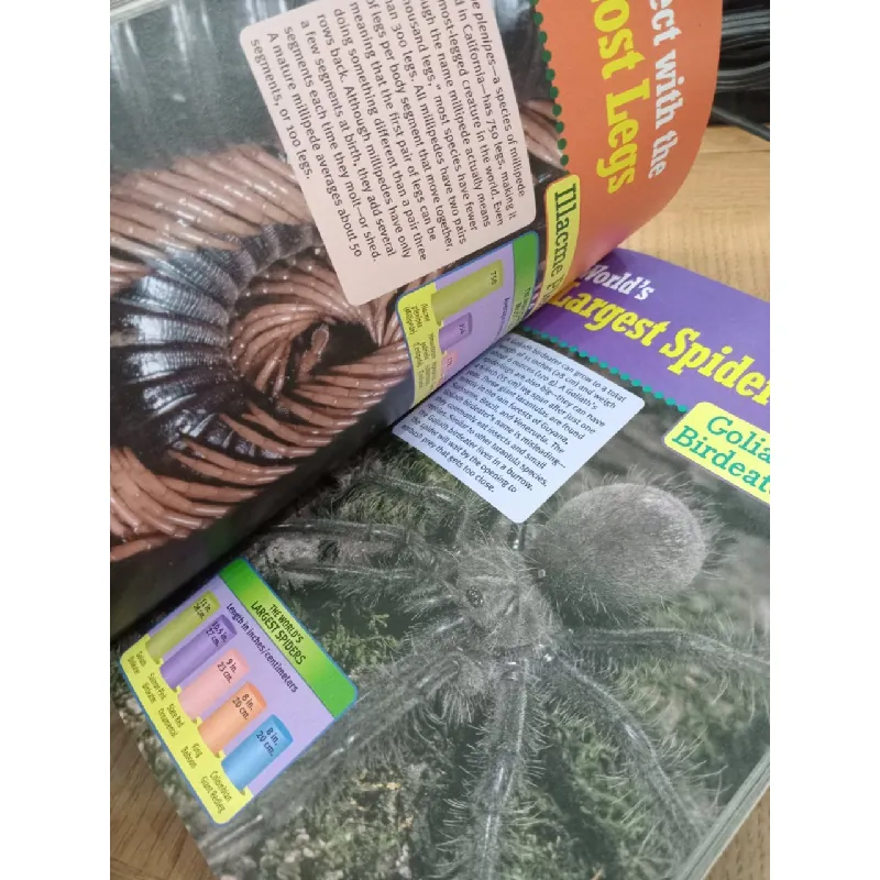 Book of world records 2004 - Jenifer Corr Morse 598328