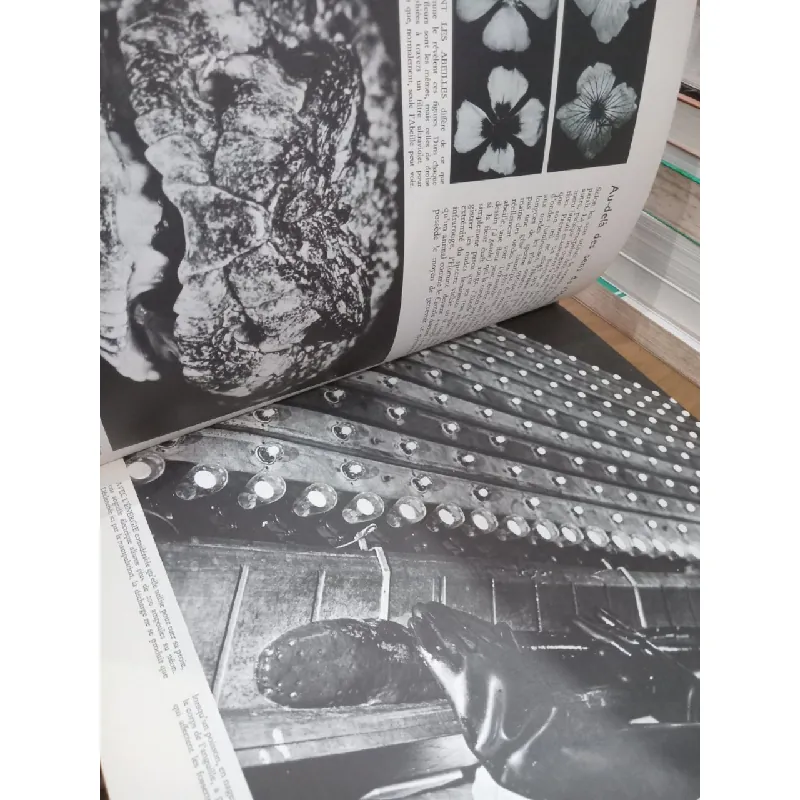 Le comportement animal - Life le monde vivant 711301