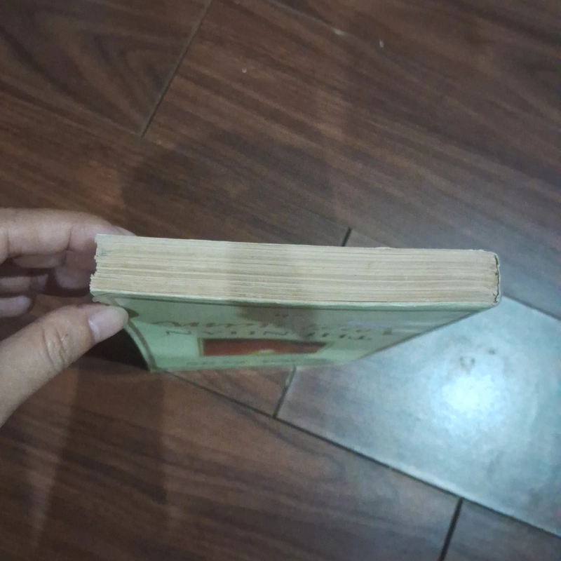 Thi nhân việt nam 523246
