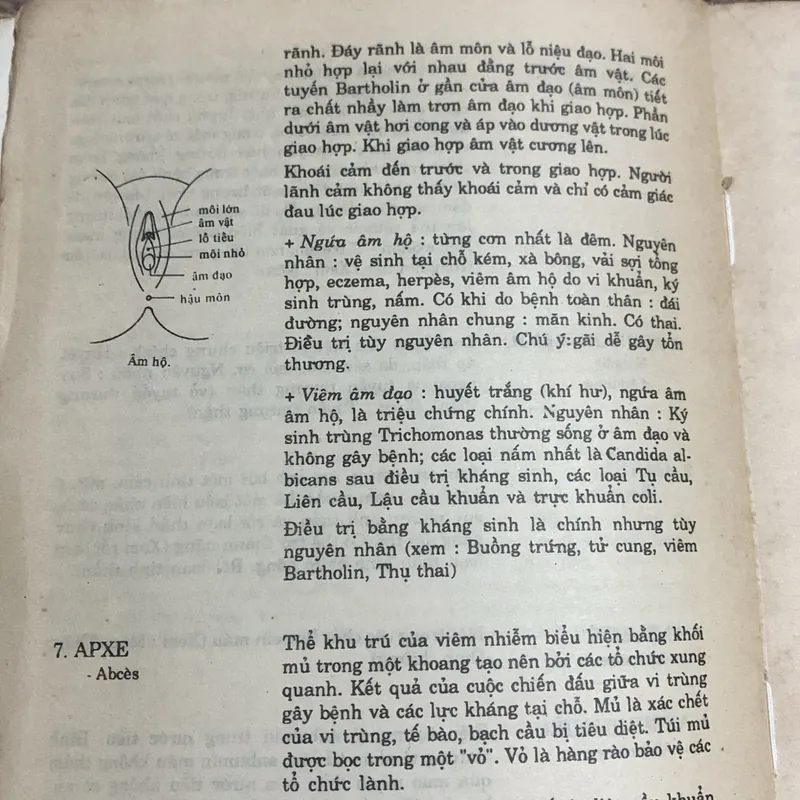 Từ điển Y học, D' ANDRE DURANTEAU 1066657