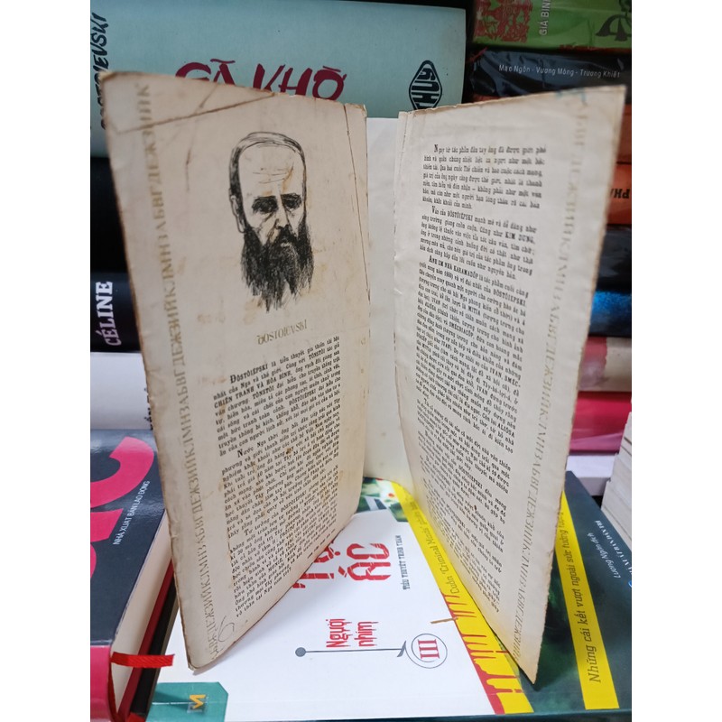 Anh em nhà Karamazov (Vũ Đình Lưu dịch) 184898