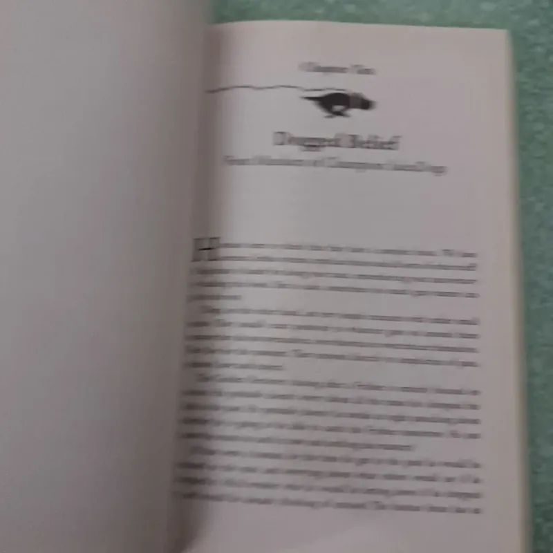 More important than money 997309