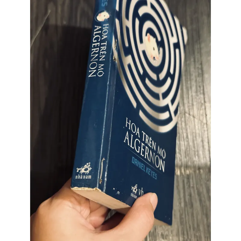 Hoa trên mộ Algernon 604514