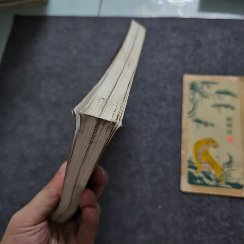 Lửa phúc âm ( sách tôn giáo ) 745510