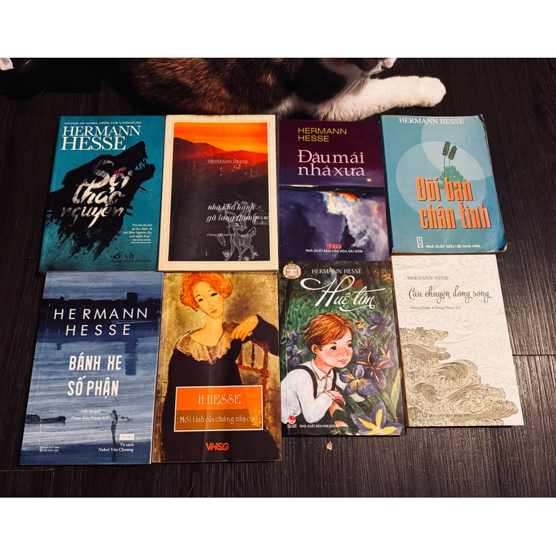 Combo 8 tác phẩm của Hermann Hesse  479277