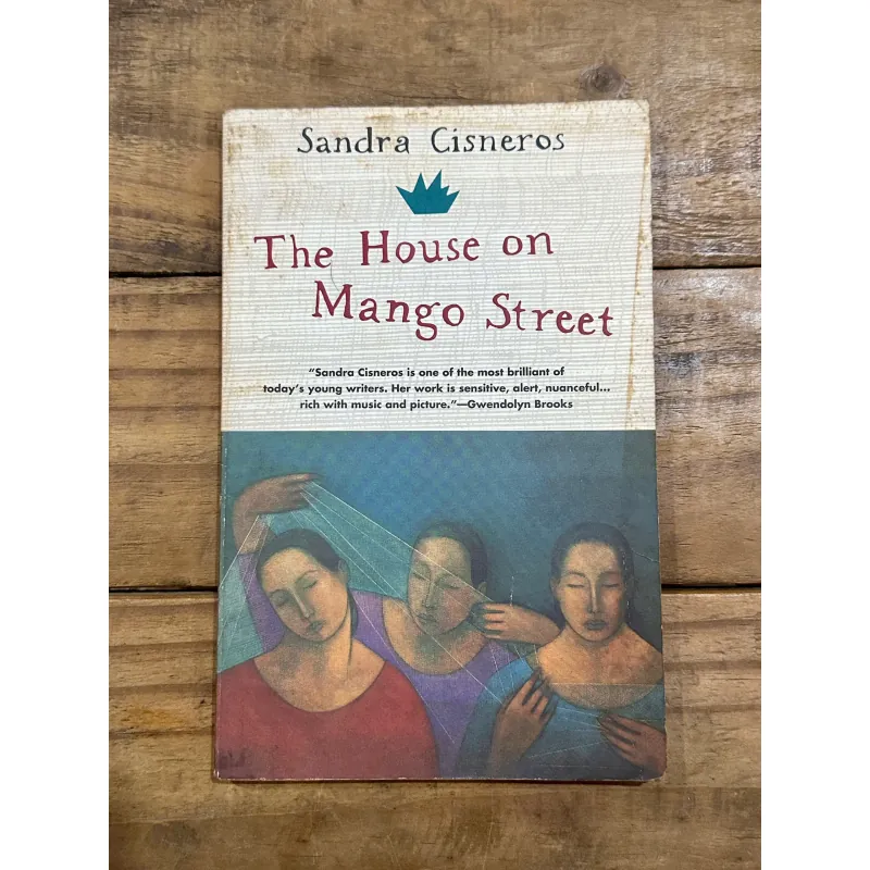 The House of Mango Street - Sandra Cisneros (Vintage Contemporaries Edition) 731280