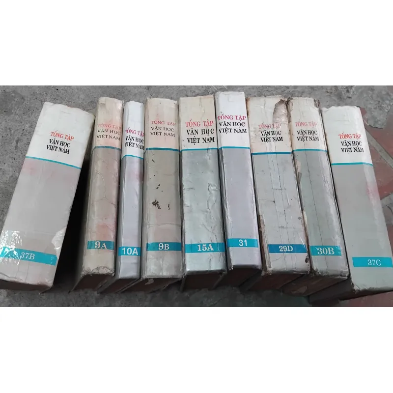 Combo 9 cuốn Tổng tập văn học Việt Nam không trùng nhau 991450