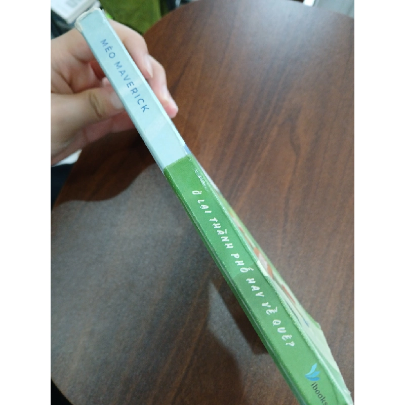 Ở lại thành phố hay về quê?<br>Mèo Maverick 539471