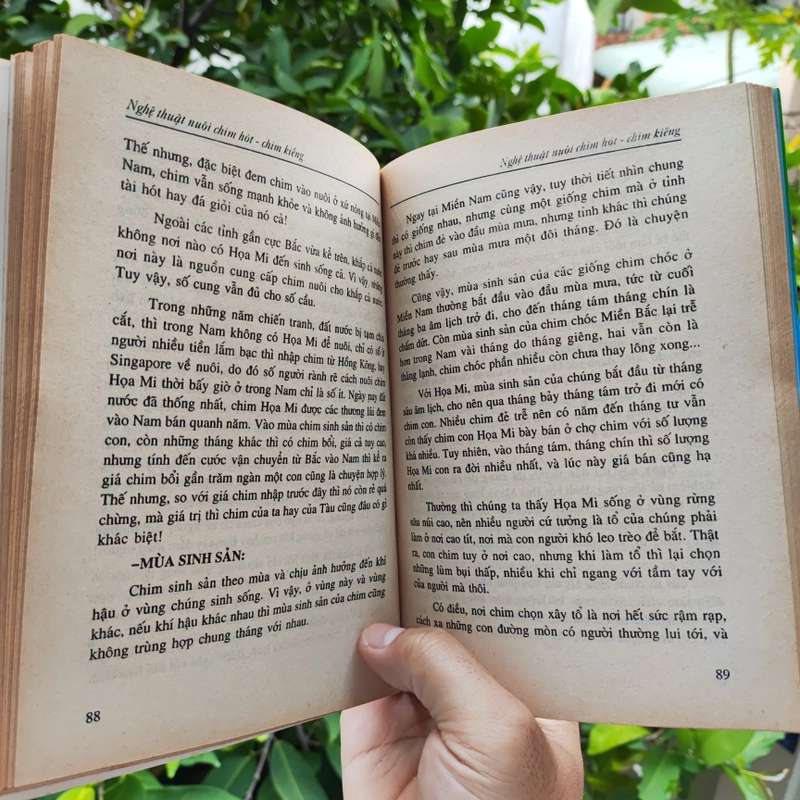 Nghệ Thuật Nuôi Chim Hót - Chim Kiểng 532116