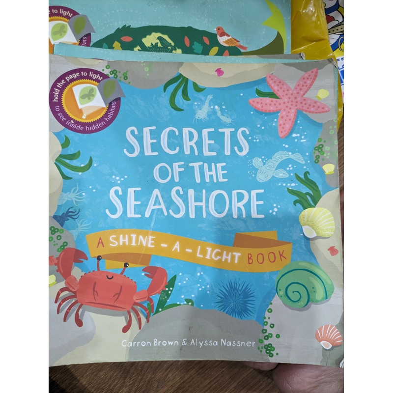 Secret of the sea shore 458898