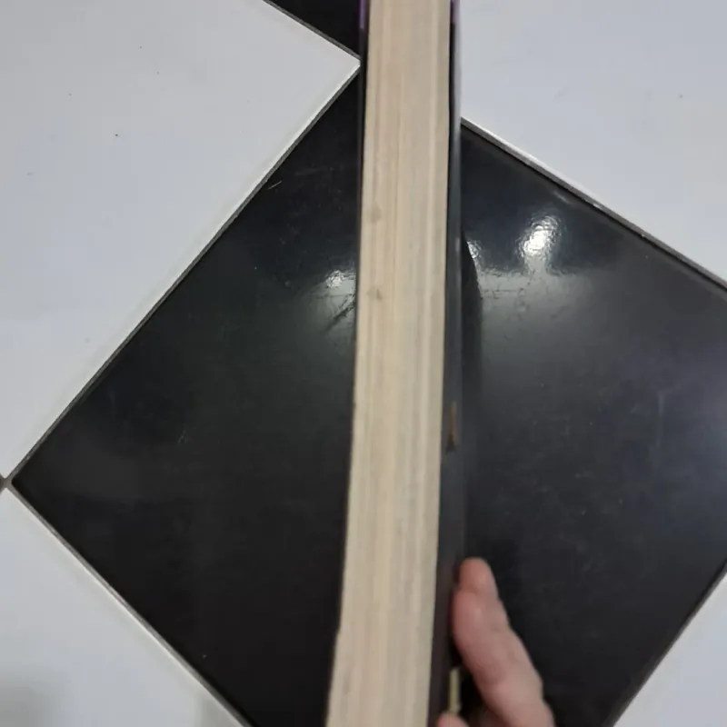 Trịnh Công Sơn- thư tình gửi một người 995255