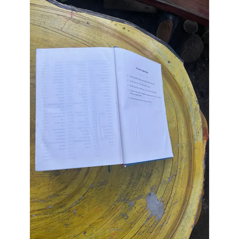 COMBO TỪ ĐIỂN ANH - VIỆT & TỪ ĐIỂN VIỆT - ANH - BÙI PHỤNG 730402