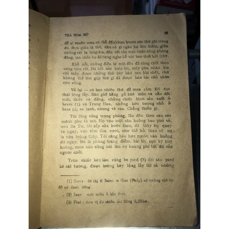 Trà hoa nữ - Alexandre Dumas Con 799667