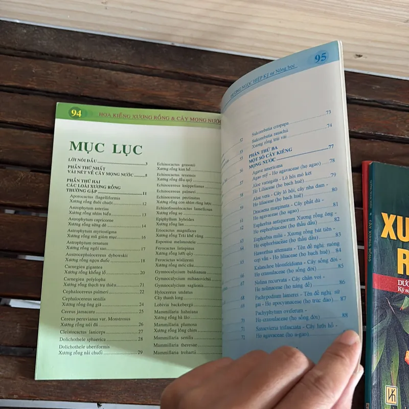II Cây Cảnh: Xương Rồng Và Cây Mọng Nước (Sách Màu) - Dương Ngọc Hiệp 718583
